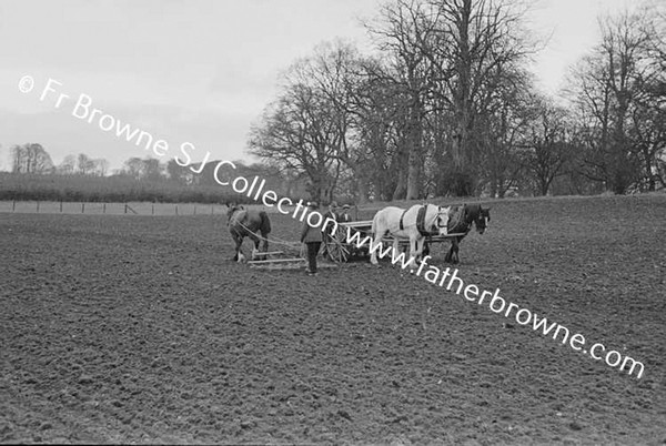 SOWING OATS BY MACHINE DAIRY HILL